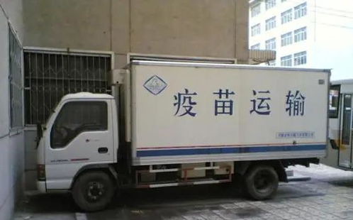 市場規(guī)模超4000億,生鮮電商加速冷鏈物流擴張,發(fā)展前景如何