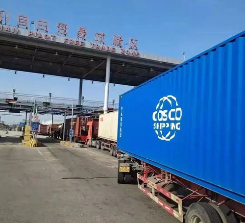 外高橋保稅區(qū) 承接全國近七成進口血透產(chǎn)品，物流企業(yè)構(gòu)筑生命通道